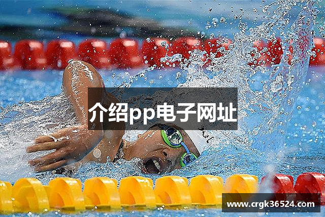 介绍pp电子网址