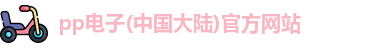 pp电子网址